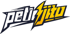 Logo petirjitu